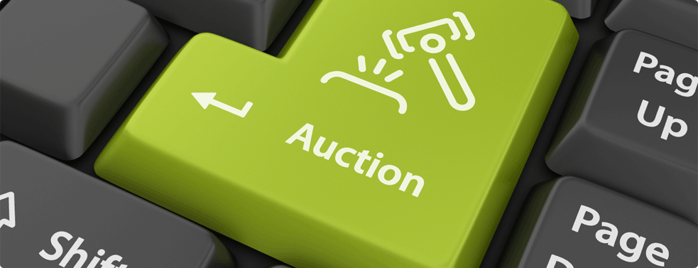 HOPE USA Gala Charity Auction
